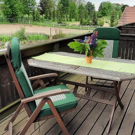 Schoenermarker Pferdeparadies Niederlandin Экстерьер фото